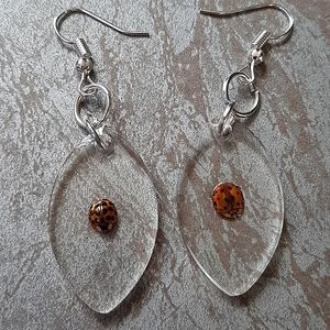 Handmade Asian Beetle Earrings